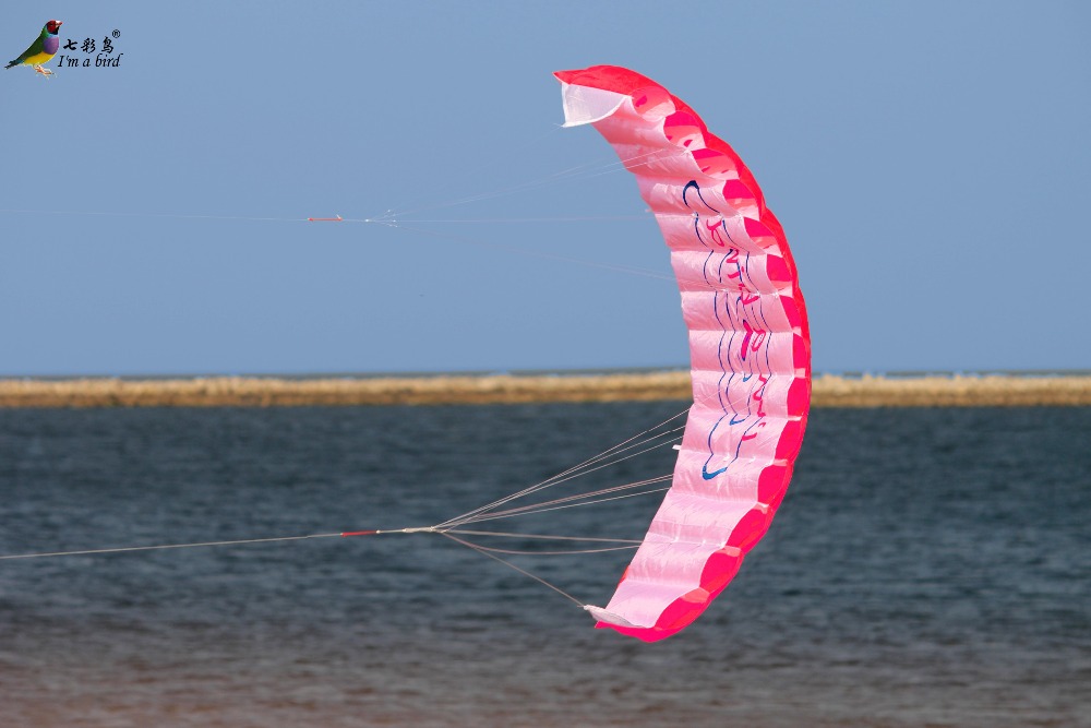 AliExpress Outdoor Fun Sports Power Dual Line Stunt Parafoil Parachute Rainbow Sports Beach Kite For Beginner, view 5