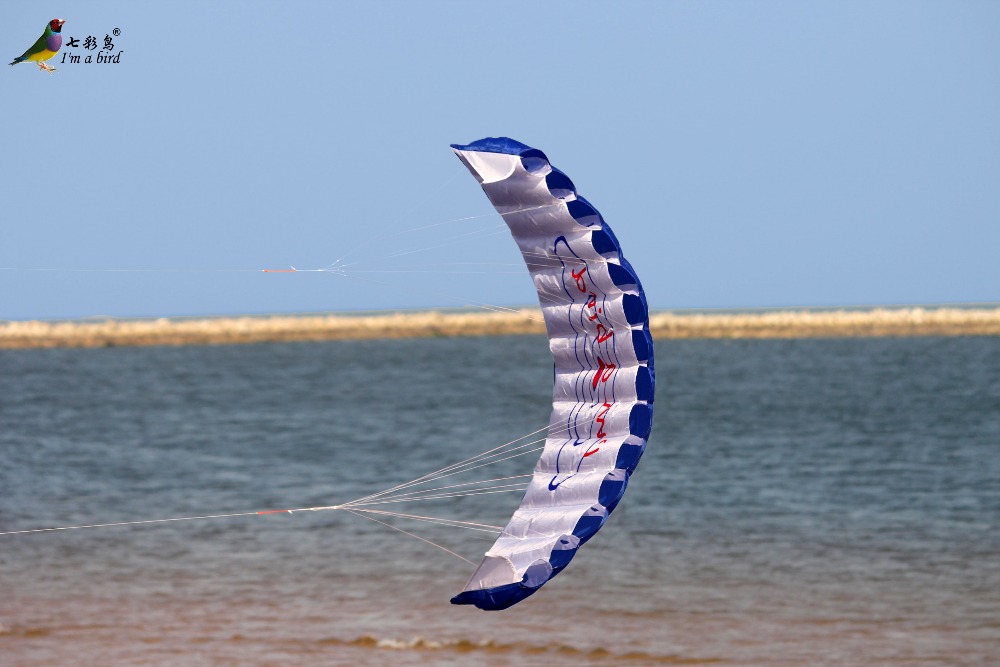 AliExpress Outdoor Fun Sports Power Dual Line Stunt Parafoil Parachute Rainbow Sports Beach Kite For Beginner, view 6