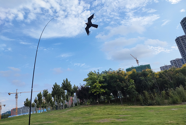 AliExpress Outdoor Toys 47 Inch Bird Scaring Eagle Kite Without Rod Good Flying For Garden/Orchard/ Farm, view 2