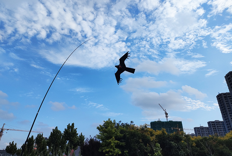 AliExpress Outdoor Toys 47 Inch Bird Scaring Eagle Kite Without Rod Good Flying For Garden/Orchard/ Farm, view 3