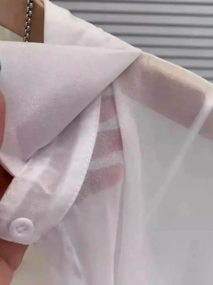 AliExpress Plus Size Women’s Tops 2025 Summer Breathable and Sun-Proof Ice Silk Button Thin Loose Sheer Chiffon Blouses Shirts Long Sleeve, view 6