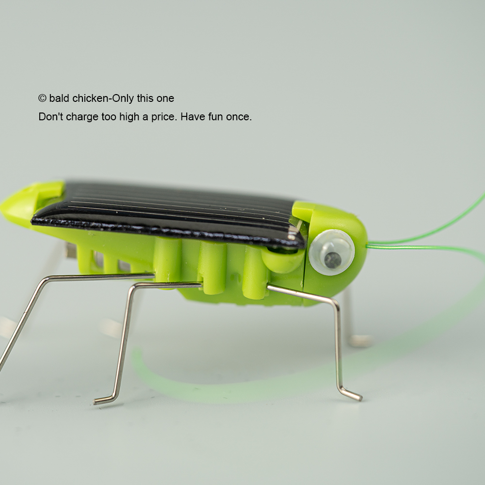 AliExpress Solar Simulation Insect Grasshopper Toy Puzzle Children Selected Gift Gift Boys And Girls Science Education Funny Moving Toy Kid, view 2