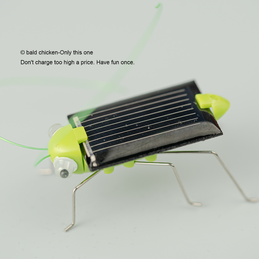 AliExpress Solar Simulation Insect Grasshopper Toy Puzzle Children Selected Gift Gift Boys And Girls Science Education Funny Moving Toy Kid, view 5