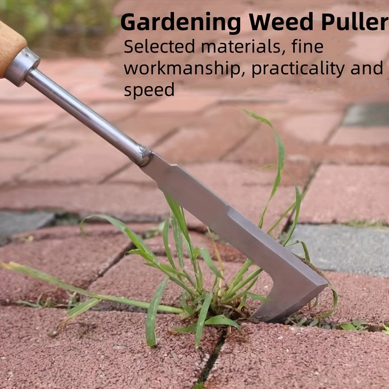 AliExpress L-Shaped Stainless Steel Gap Weeding Tool