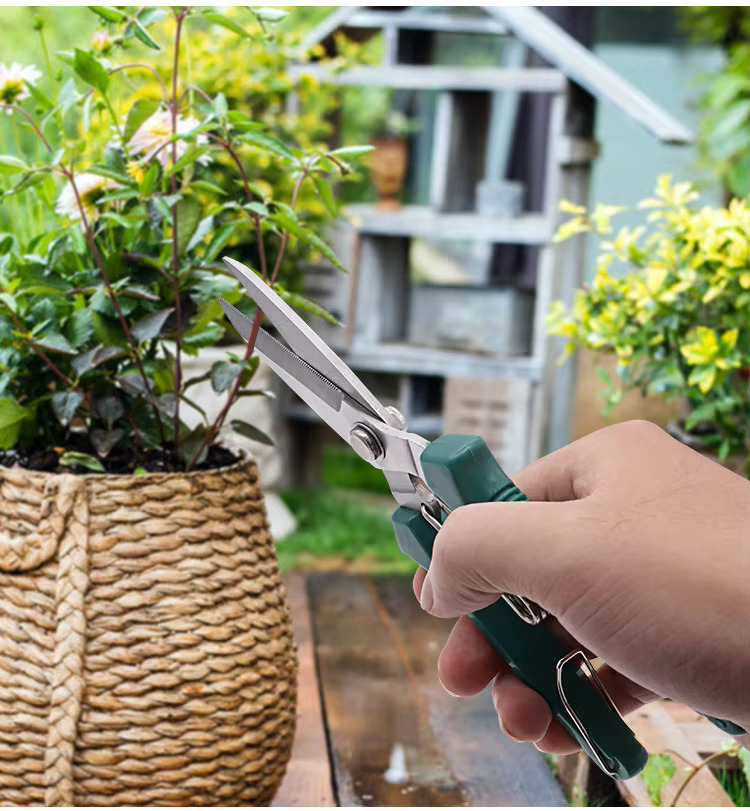 AliExpress Straight Head Pruning Shears Non-slip HandleStainless Steel Outils Manuels Household Bonsai Garden Scissors Pruing Shear, view 3