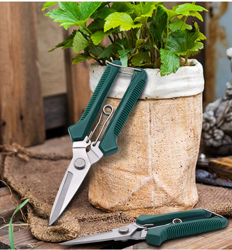 AliExpress Straight Head Pruning Shears Non-slip HandleStainless Steel Outils Manuels Household Bonsai Garden Scissors Pruing Shear, view 4