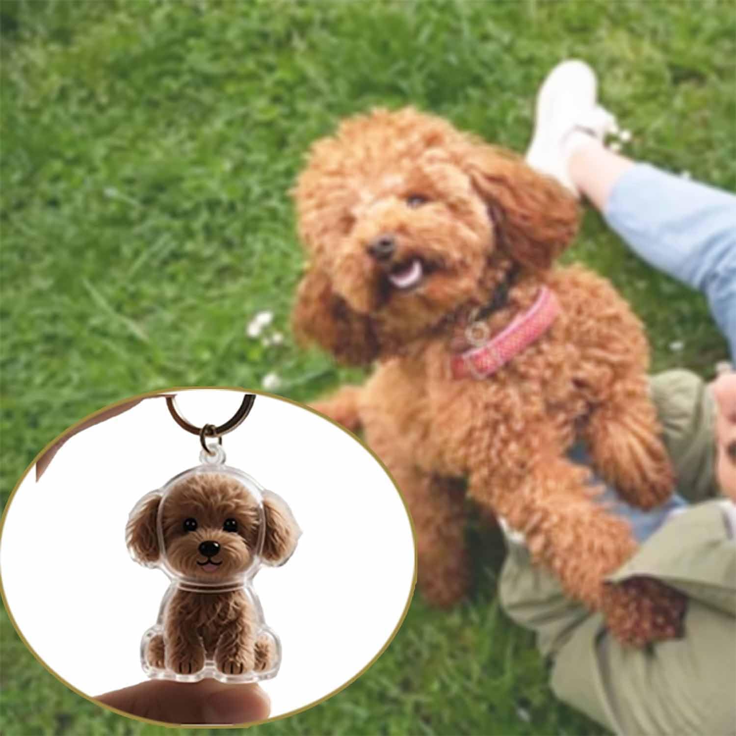 AliExpress Transparent Cute Dog Pendant Keychain Creative Pet Hair Storage Capsule Hanging Ornament for Pet Lover DIY Pet Memorial Keychain, view 3