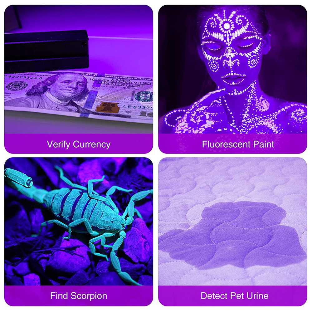 AliExpress 12-LED 395 nm UV Blacklight Flashlight, view 2
