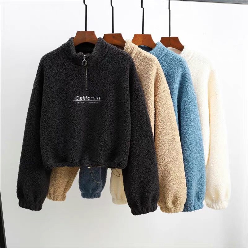 AliExpress Women Letter Embroidery Stand Neck Fleece Cropped Hoodies Autumn Long Sleeve Drawstring Sweatshirt New Casual Plush Velvet Tops