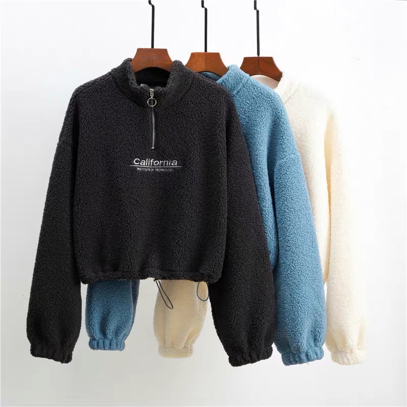 AliExpress Women Letter Embroidery Stand Neck Fleece Cropped Hoodies Autumn Long Sleeve Drawstring Sweatshirt New Casual Plush Velvet Tops, view 5