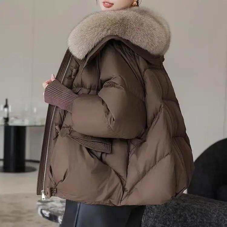AliExpress Women Winter Down Cotton Jacket 2025 New Women Warm Thick Cotton Coat Larger Fur Collar Cotton Padded Jacket Women Parka Coat