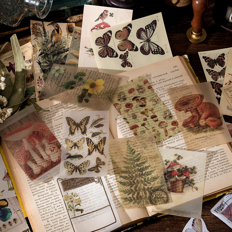 AliExpress Yoofun 60pcs/pack Multi-Material Sticker Pack Vintage Mushroom Plants butterflies Stickers for Journal Scrapbooking Craft Making, view 3
