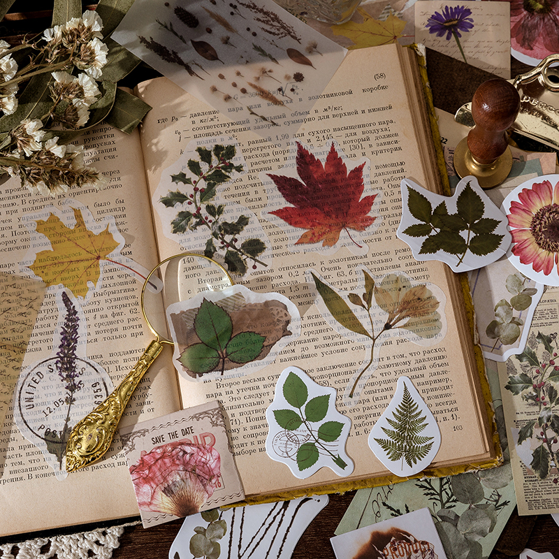 AliExpress Yoofun 60pcs/pack Multi-Material Sticker Pack Vintage Mushroom Plants butterflies Stickers for Journal Scrapbooking Craft Making, view 4