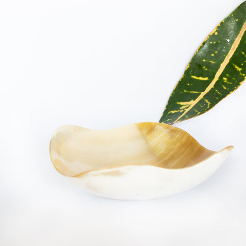 Amaka Africa Kimaka Curved Decorative Accent Bowl