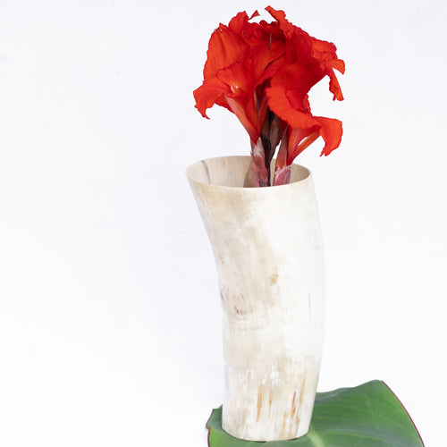 Amaka Africa Decorative Horn Vase