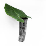 Amaka Africa Decorative Horn Vase, view 2