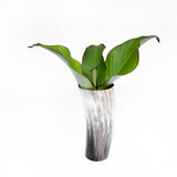 Amaka Africa Decorative Horn Vase, view 4