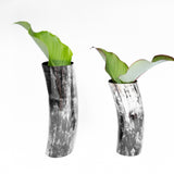 Amaka Africa Decorative Horn Vase, view 5