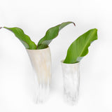 Amaka Africa Decorative Horn Vase, view 6