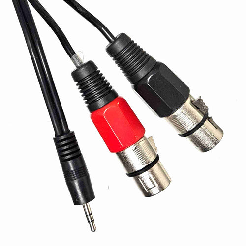 American Recorder Technologies 3.5mm to Dual XLR Female Cable