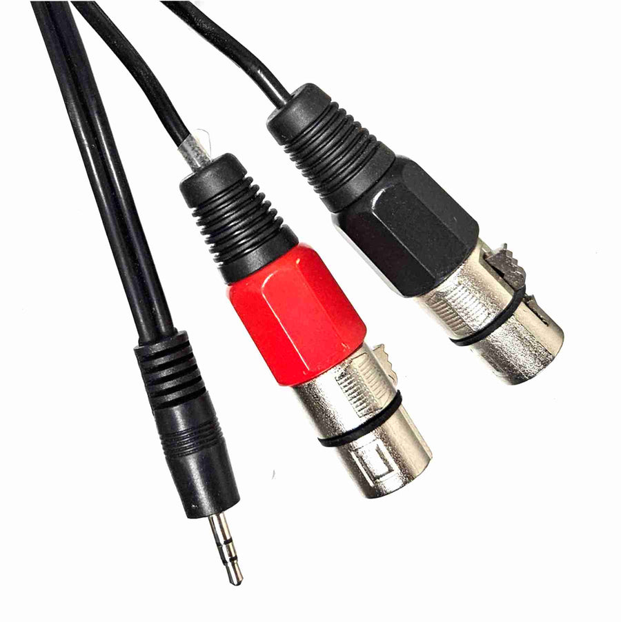 American Recorder Technologies 3.5mm to Dual XLR Female Cable