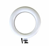 American Recorder Technologies ALLCAST 6" Ring Light and HD Webcam with Adjustable Arm Pole Clamp, view 2