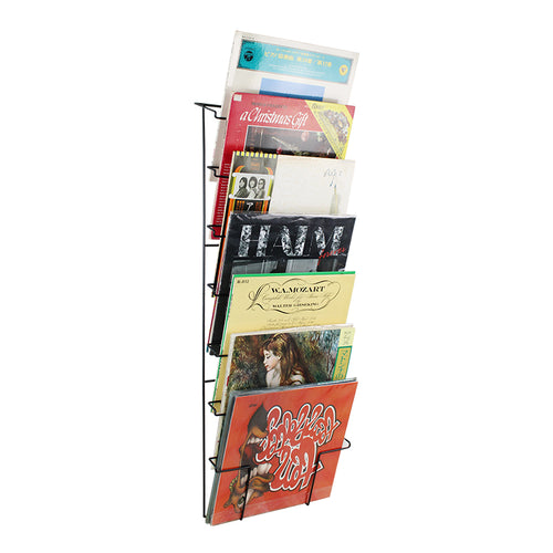 American Recorder Technologies Wall Mount Vinyl Disc LP Record Wire Rack Holder