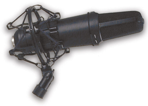 American Recorder Technologies Condenser Microphone