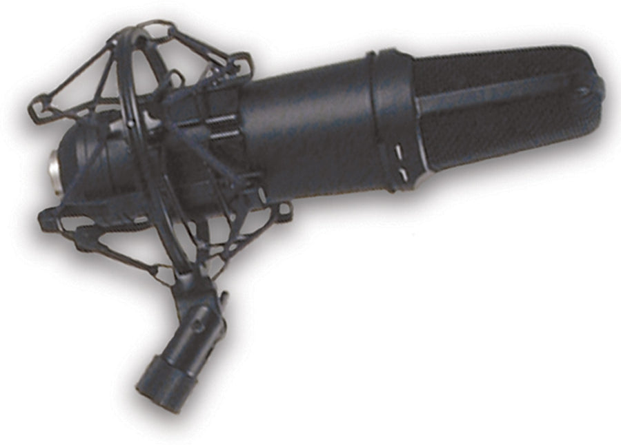 American Recorder Technologies Condenser Microphone