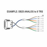 American Recorder Technologies AMERICAN RECORDER DB25 to Dual RJ45 Adapter with TASCAM DIGITAL/ANALOG Pinout, view 4