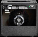 American Recorder Technologies LX35R Solid-State Guitar Amp with REVERB, view 3