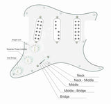 American Recorder Technologies PICKUP-TRONIX Model 1 Pickguard, view 5