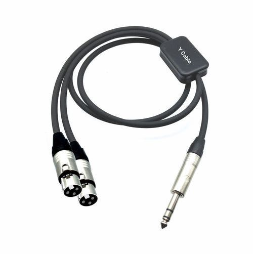 American Recorder Technologies PRO Series Y Cable - Balanced 1/4" TRS Male to Dual XLR Female