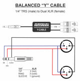 American Recorder Technologies PRO Series Y Cable - Balanced 1/4" TRS Male to Dual XLR Female, view 2