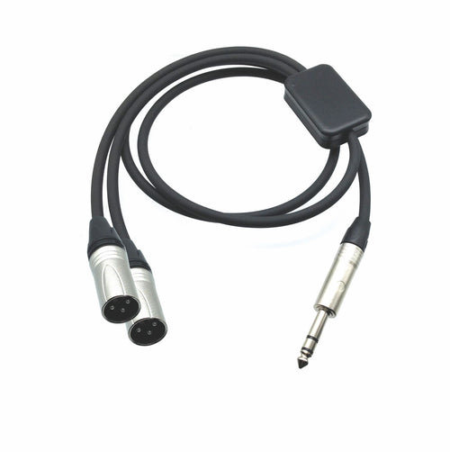 American Recorder Technologies AMERICAN RECORDER PRO Series Y Cable - Balanced 1/4" TRS Male to Dual XLR Male