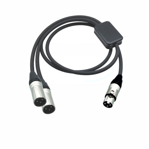 American Recorder Technologies PRO Series Y Cable - XLR Female to Dual XLR Male