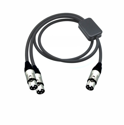 American Recorder Technologies PRO Series Y Cable - XLR Female to Dual XLR Female
