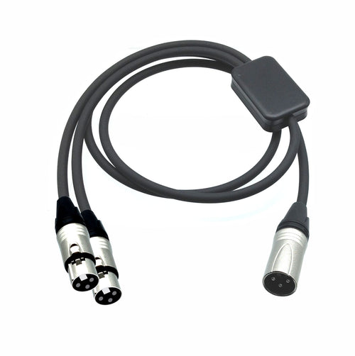 American Recorder Technologies PRO Series Y Cable - XLR Male to Dual Female