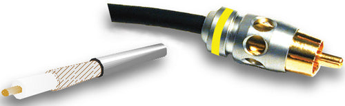 American Recorder Technologies Video RCA - Single