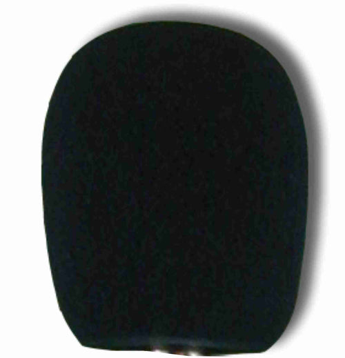 American Recorder Technologies Windscreen for SPL-8810