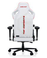 AndaSeat Top Esports Edition Gaming Chair, view 5