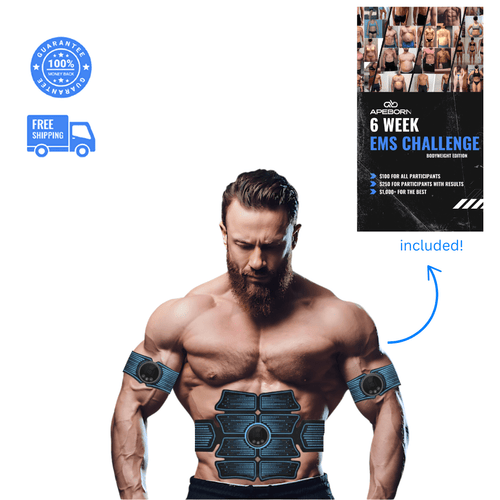 APE BORN Ab Stimulator Transformation Bundle