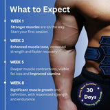 APE BORN NextGen Abs & Arm Stimulator, view 4
