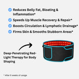 APE BORN NextGen Red Light Therapy Belt, view 3
