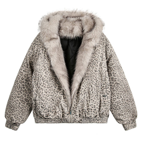 Boogzel Apparel Animal Instincts Leopard Print Jacket