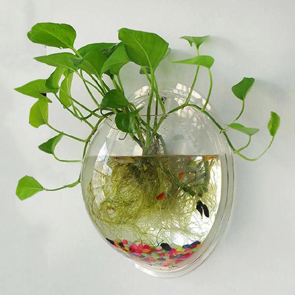 Boogzel Apparel Aquarium Wall Plant Holder