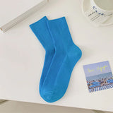 Boogzel Apparel Baby Blue Ribbed Socks, view 4