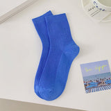 Boogzel Apparel Baby Blue Ribbed Socks, view 5