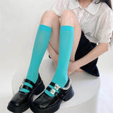 Boogzel Apparel Color Pop Accent Basic Socks, view 3