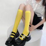 Boogzel Apparel Color Pop Accent Basic Socks, view 6